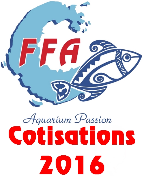 FFA logo cotis 2016