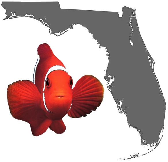 Floride
