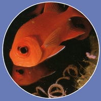 Manuel aquariologie 2