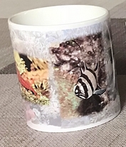 Mug1