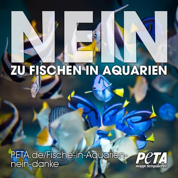 PETA