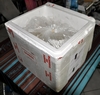 Transport