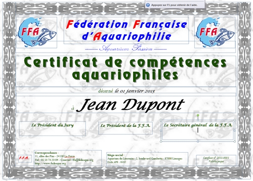 diplome CComp