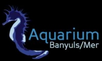 Banyuls