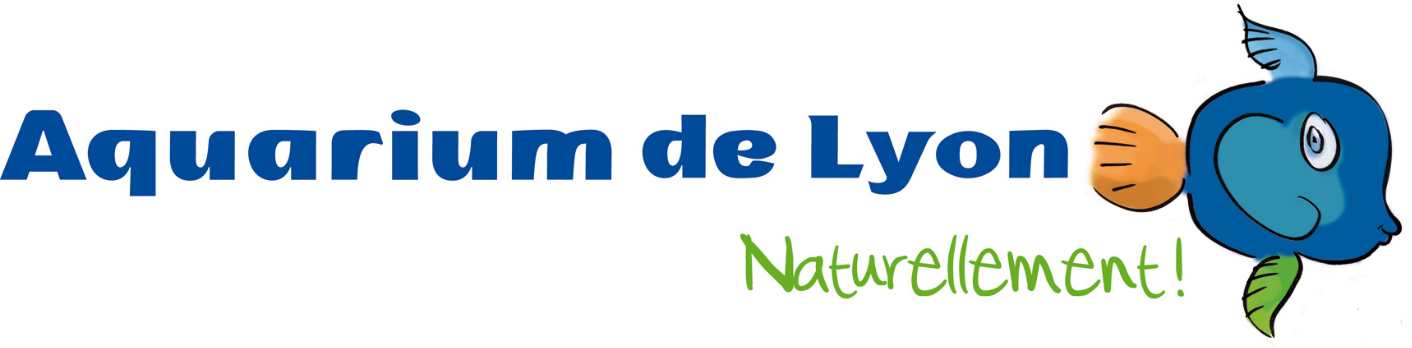 Lyon2