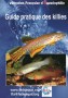 Guide pratique des Chaetodontidés