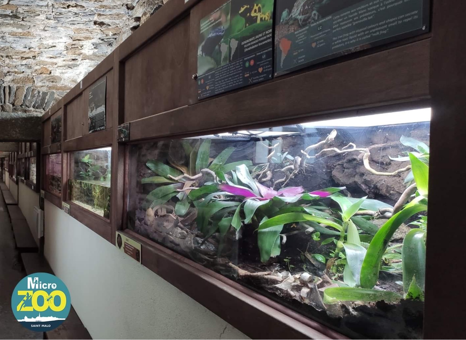 micro zoo